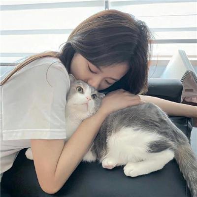 雾中之犬